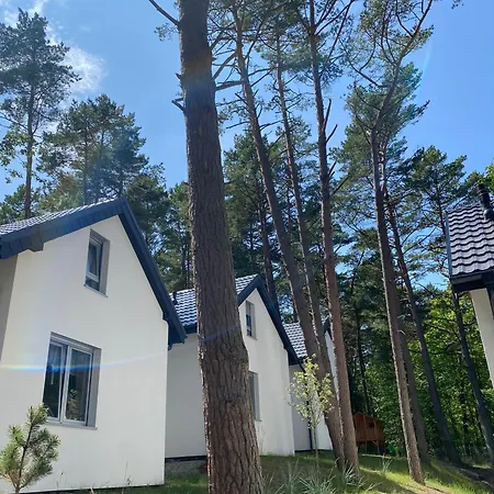 Profil Family House Ferienhaus *